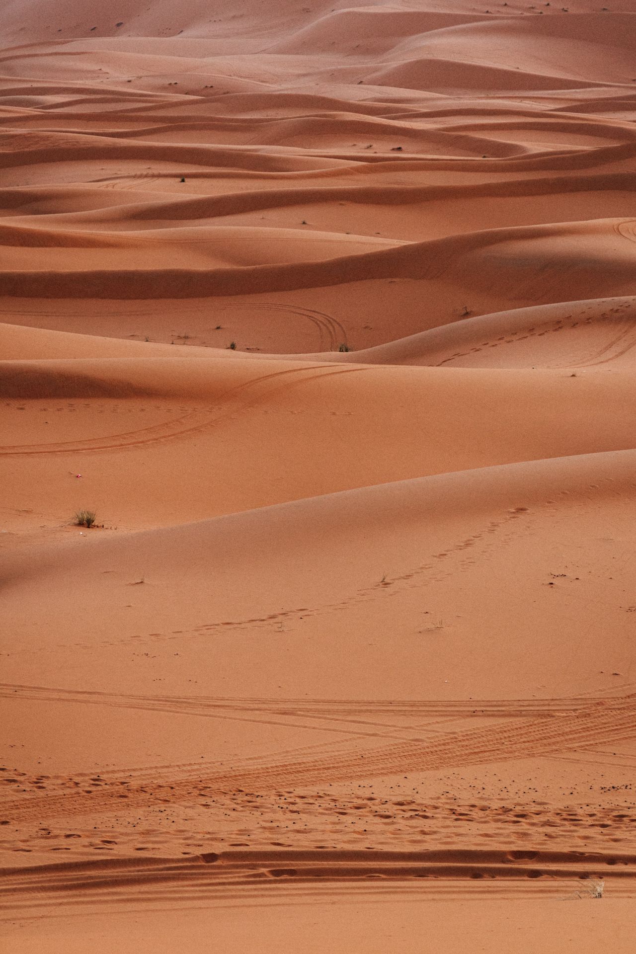 https://d25zju352ltlfe.cloudfront.net/gallery/morocco-06cdf4bd-f96c-4b23-9f56-d39450d95521.jpg