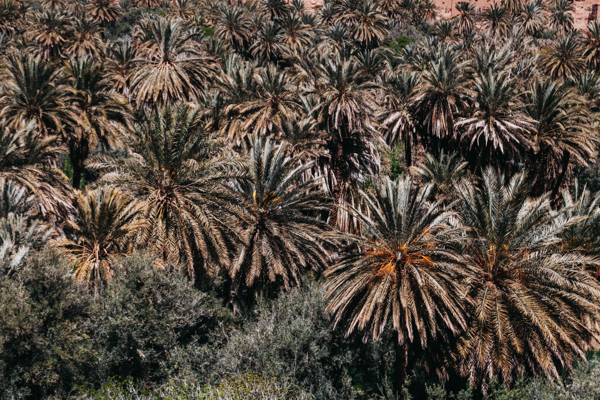 https://d25zju352ltlfe.cloudfront.net/gallery/morocco-1bf4d719-4fe0-4a7a-8429-e70a85ff1831.jpg